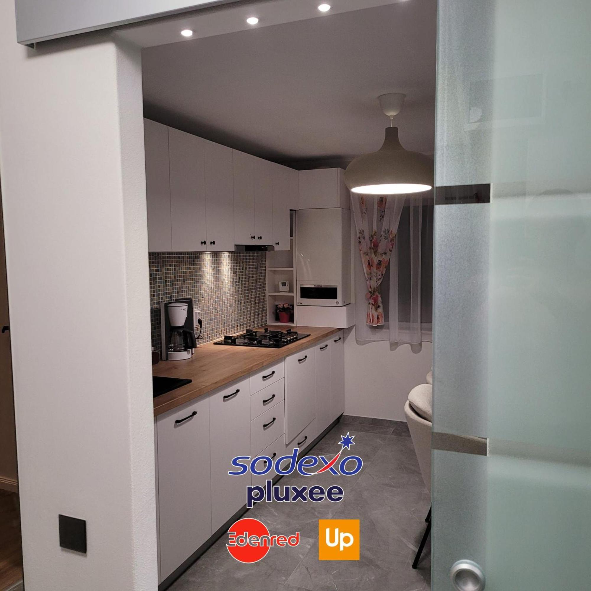 Hermann Apartment Cluj Napoca Bagian luar foto